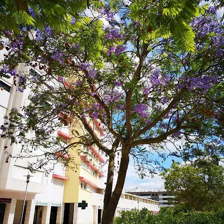 公寓 Jardim Dos Jacarandas