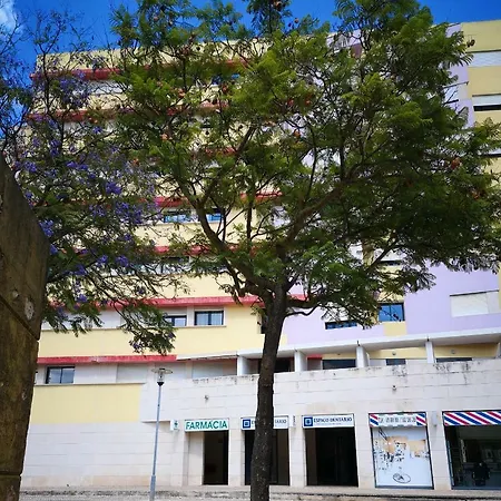 Jardim Dos Jacarandas * Lisboa