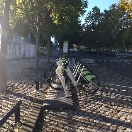 Jardim Dos Jacarandas * Lisboa